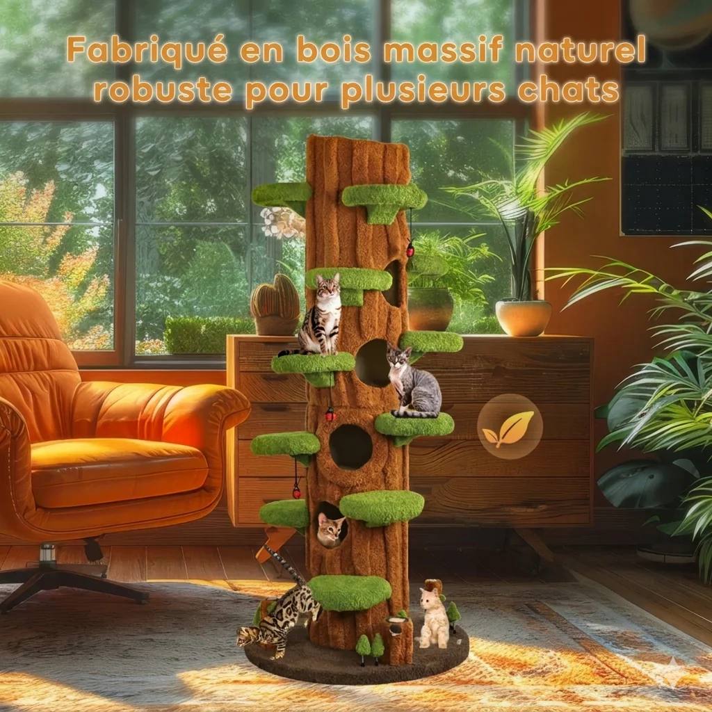 Vue jardin botanique