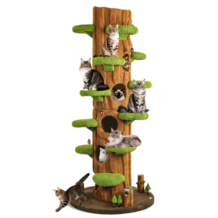 Leviya Condo — Arbre à Chat NÉKOA
